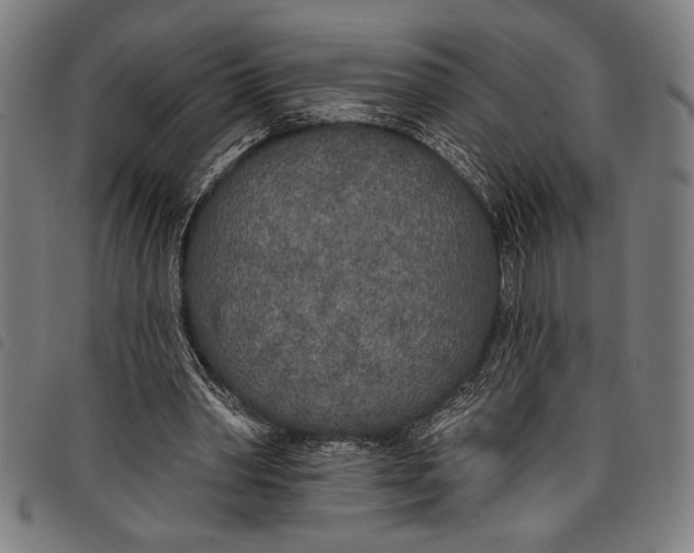 X0000097810390200804041341