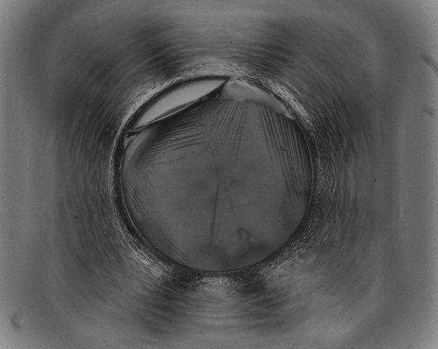 X0000097810391200804041341