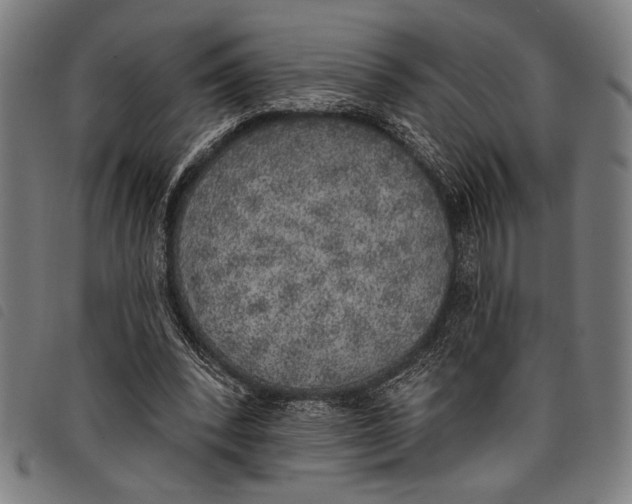 X0000097810392200804041341