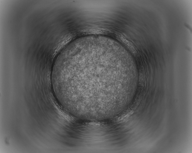 X0000097810394200804041341