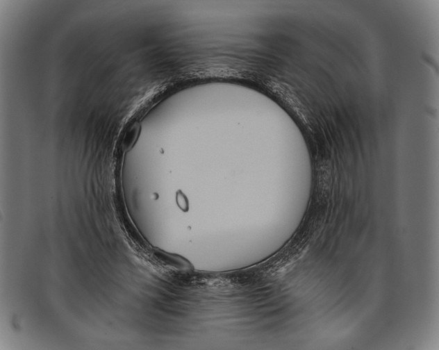 X0000097810395200804041341