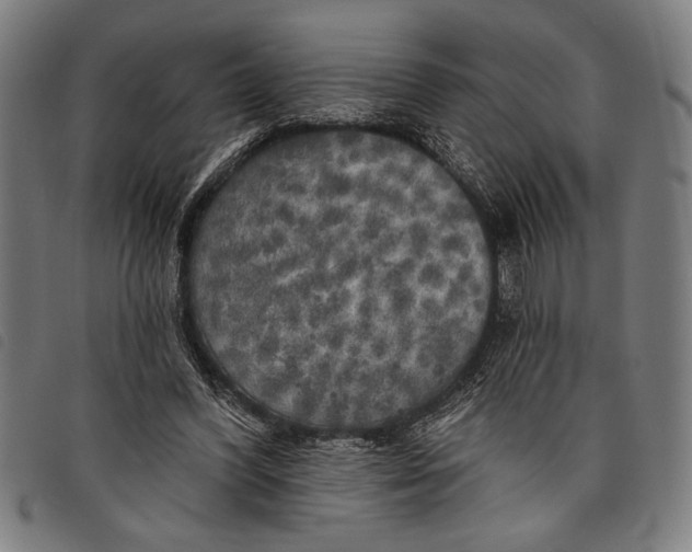 X0000097810396200804041341