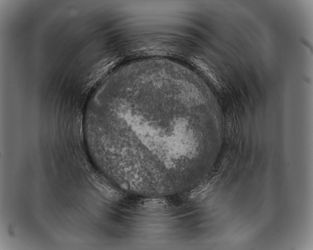 X0000097810398200804041341