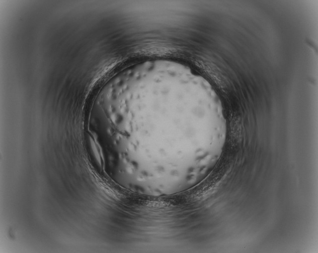 X0000097810399200804041341