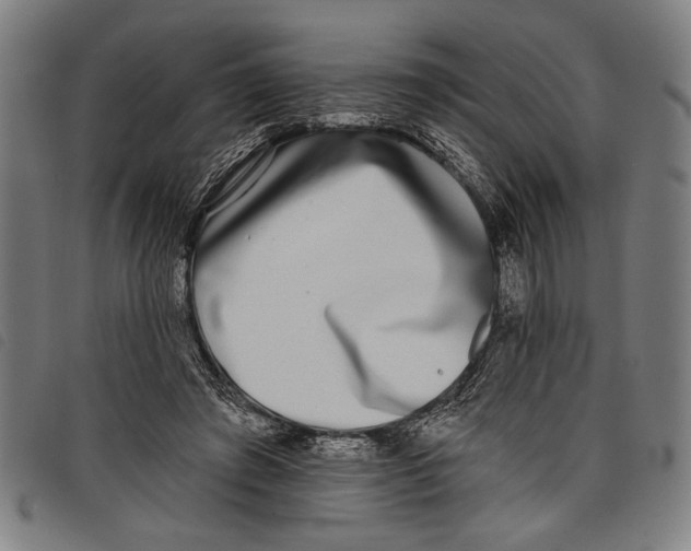 X0000097810401200804041341