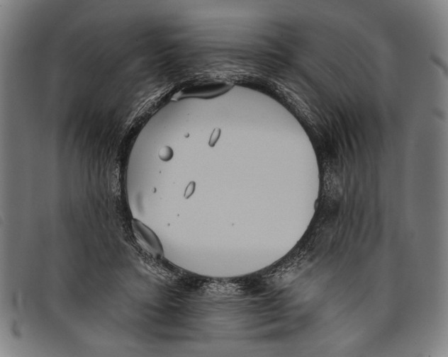 X0000097810403200804041341