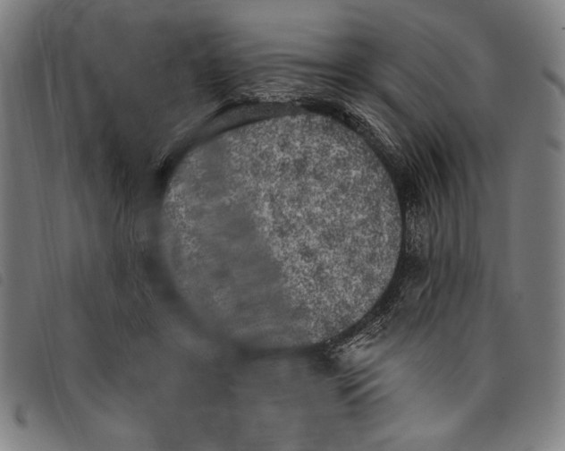 X0000097810404200804041341