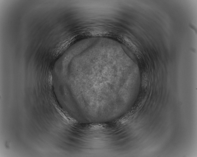 X0000097810405200804041341