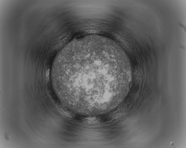 X0000097810406200804041341