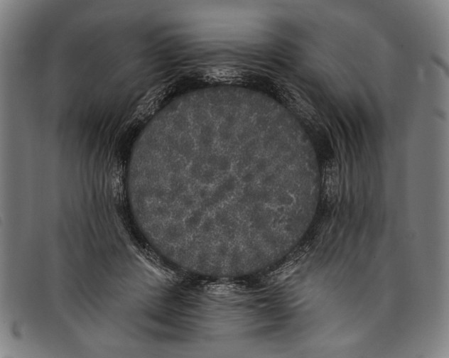 X0000097810408200804041341