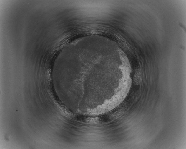 X0000097810410200804041341