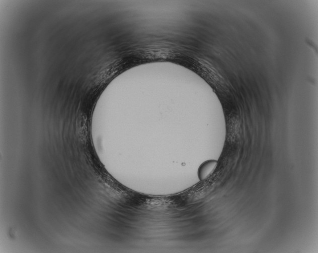 X0000097810414200804041341