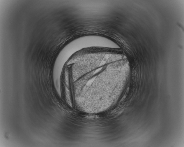 X0000097810415200804041341