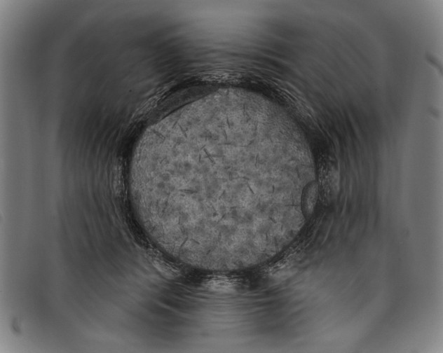 X0000097810416200804041341