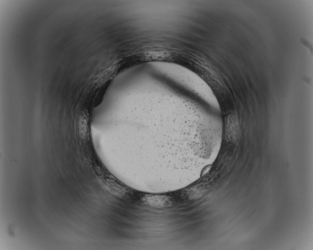 X0000097810417200804041340