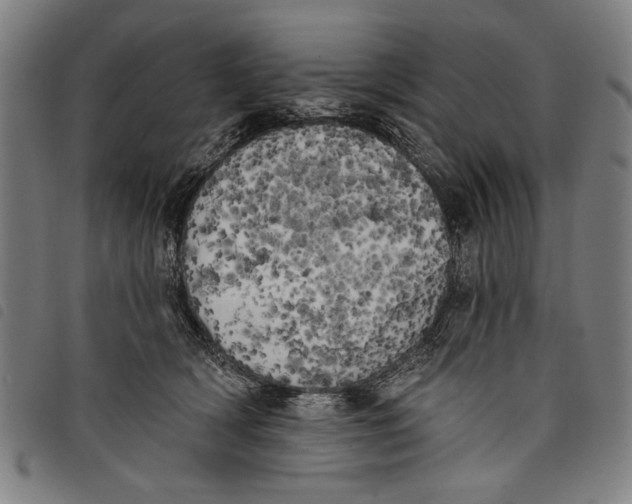 X0000097810418200804041340