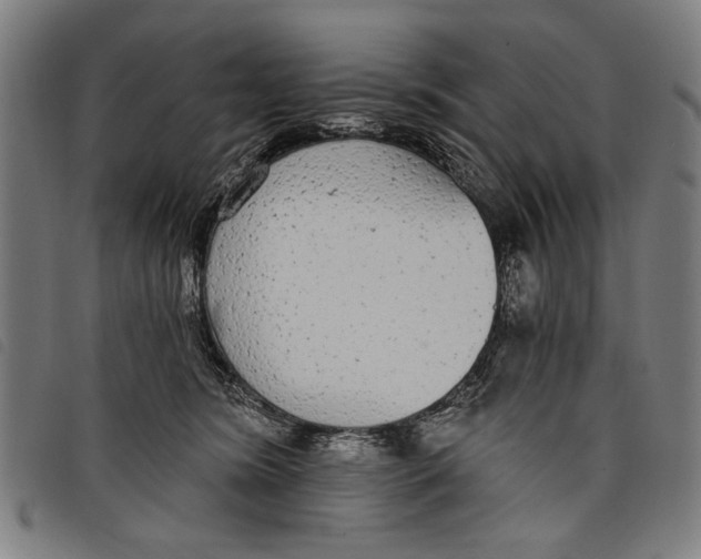 X0000097810420200804041340