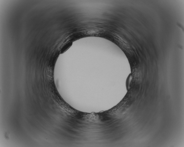 X0000097810421200804041340