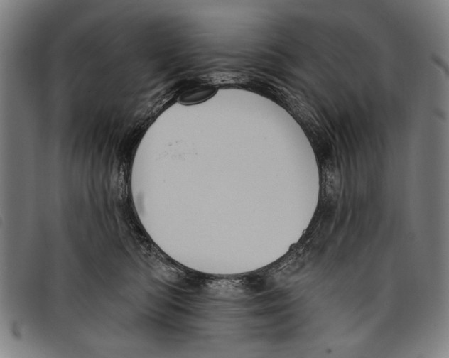 X0000097810422200804041340