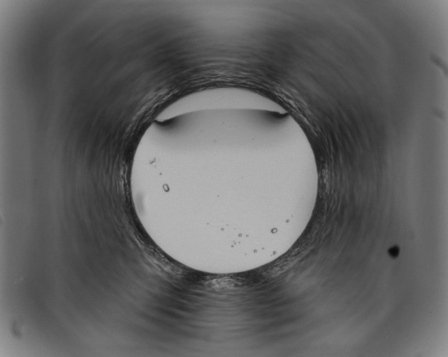 X0000097810423200804041340