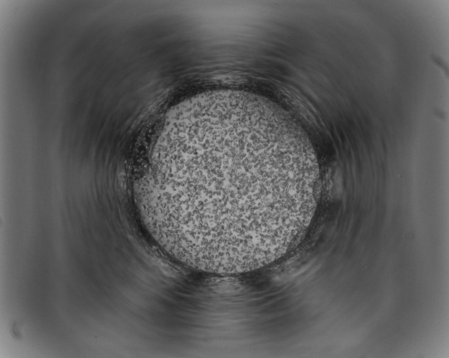 X0000097810424200804041340