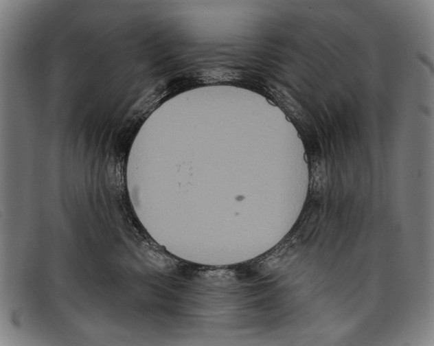 X0000097810426200804041340