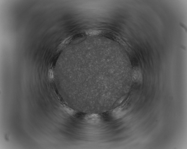 X0000097810431200804041340