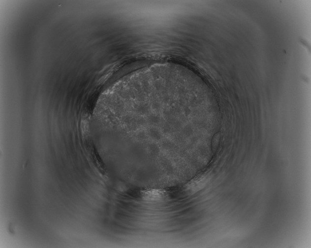 X0000097810432200804041340