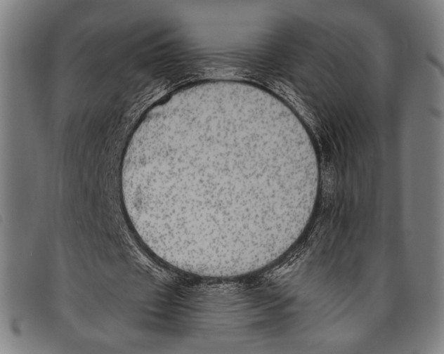 X0000097810433200804041340