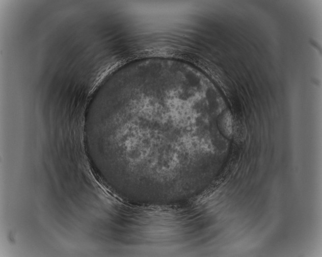 X0000097810434200804041340