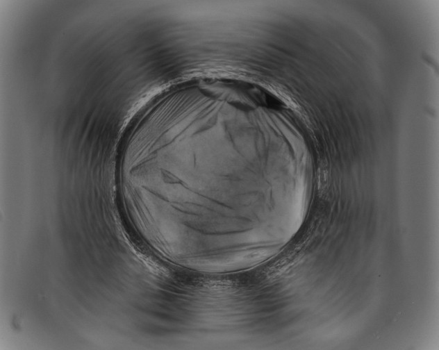 X0000097810438200804041340