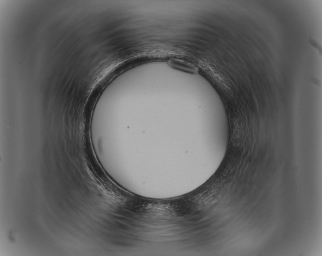 X0000097810440200804041340