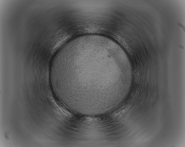 X0000097810442200804041340