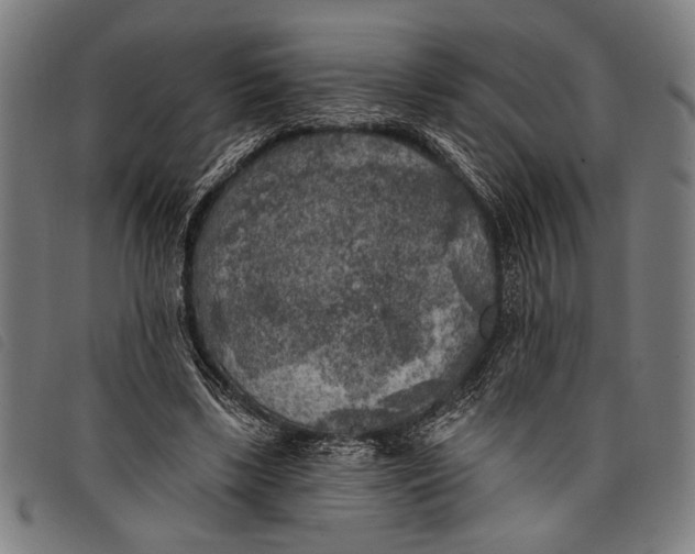 X0000097810443200804041340