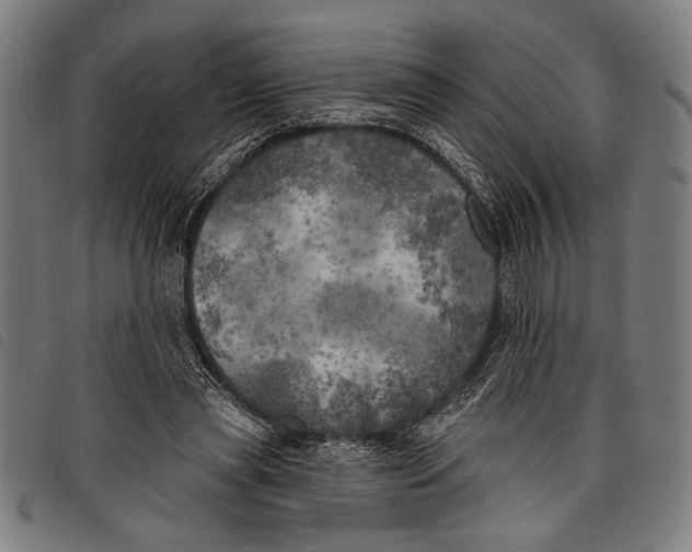 X0000097810445200804041340