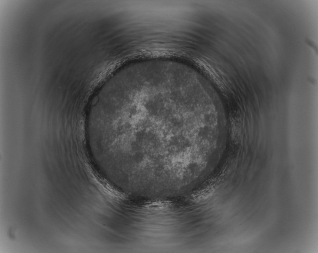 X0000097810447200804041340