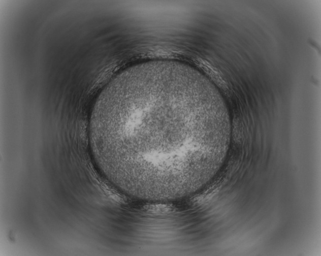 X0000097810449200804041340