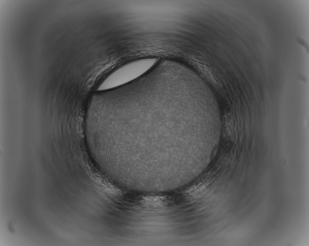 X0000097810450200804041340