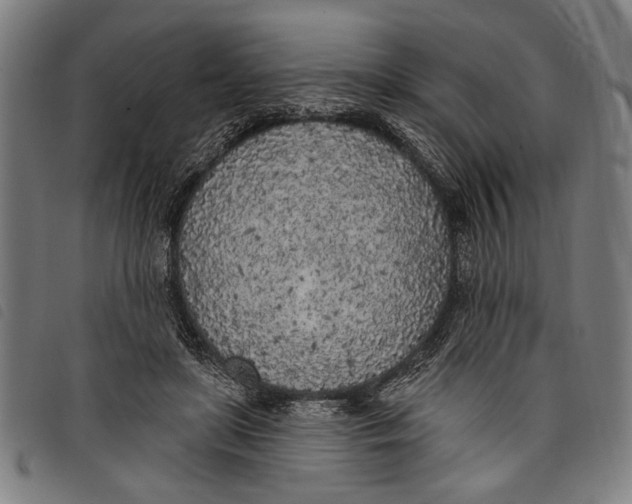 X0000097810451200804041340