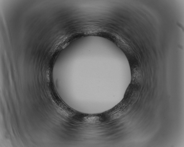 X0000097810452200804041340