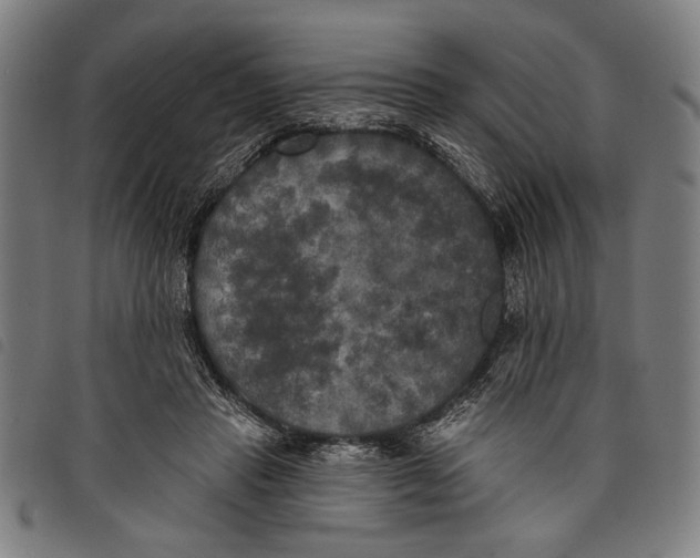 X0000097810453200804041340