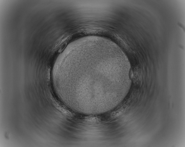 X0000097810454200804041340