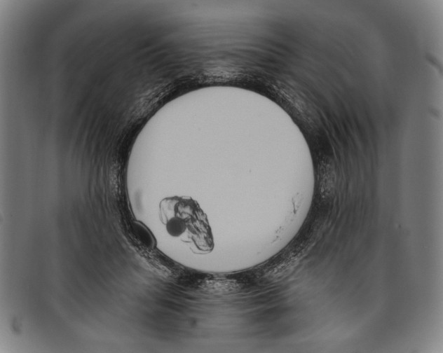 X0000097810455200804041340