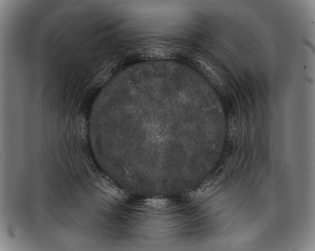 X0000097810457200804041340