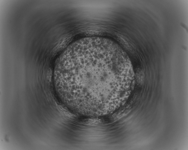 X0000097810458200804041340