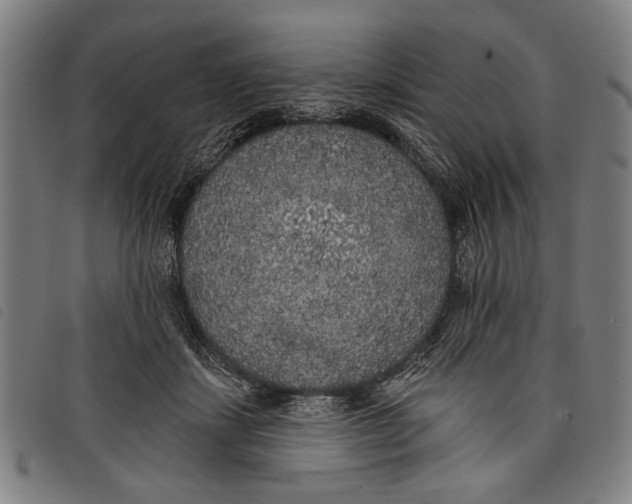 X0000097810459200804041340