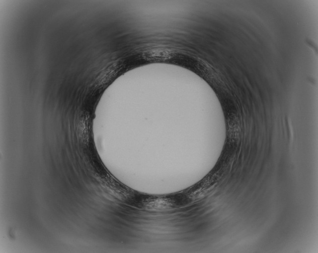 X0000097810460200804041340