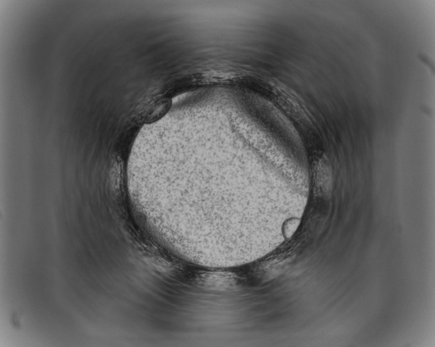 X0000097810463200804041340