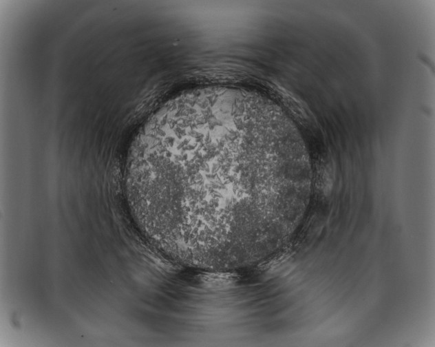 X0000097810465200804041340