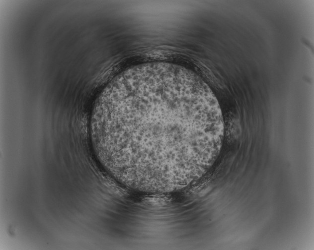 X0000097810466200804041340